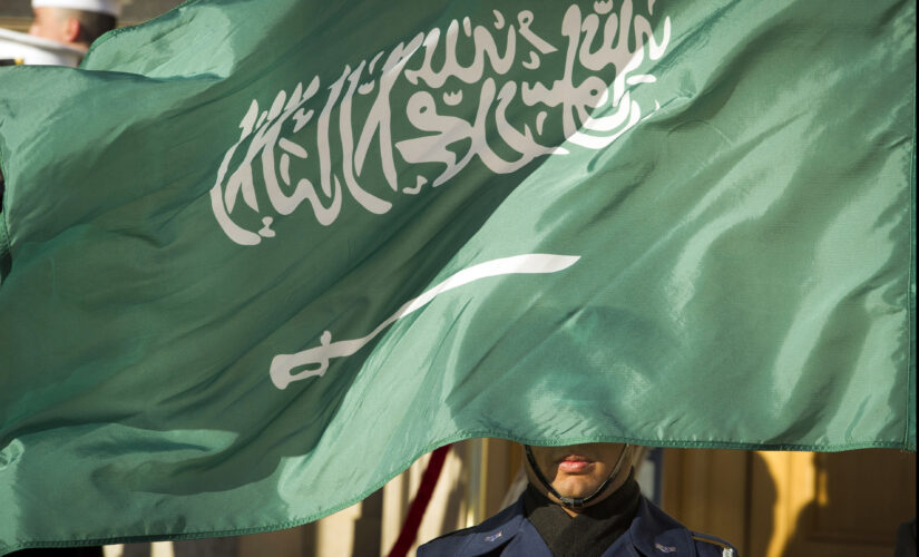 Saudi Arabia says it has executed 81 convicts in single day