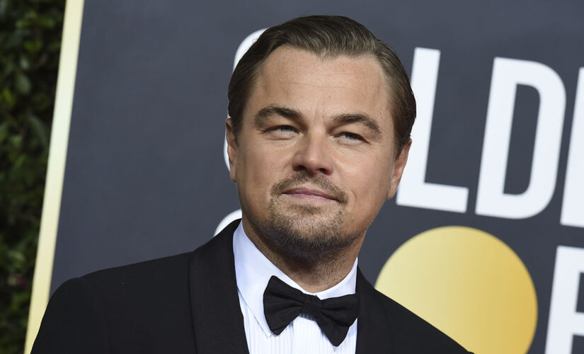 Leonardo DiCaprio donates to Ukraine, but earlier reports false