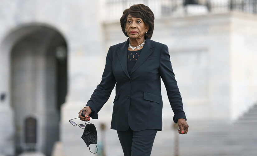 Democrat Rep. Waters tells homeless people to ‘go home,’ warns journalist during testy exchange