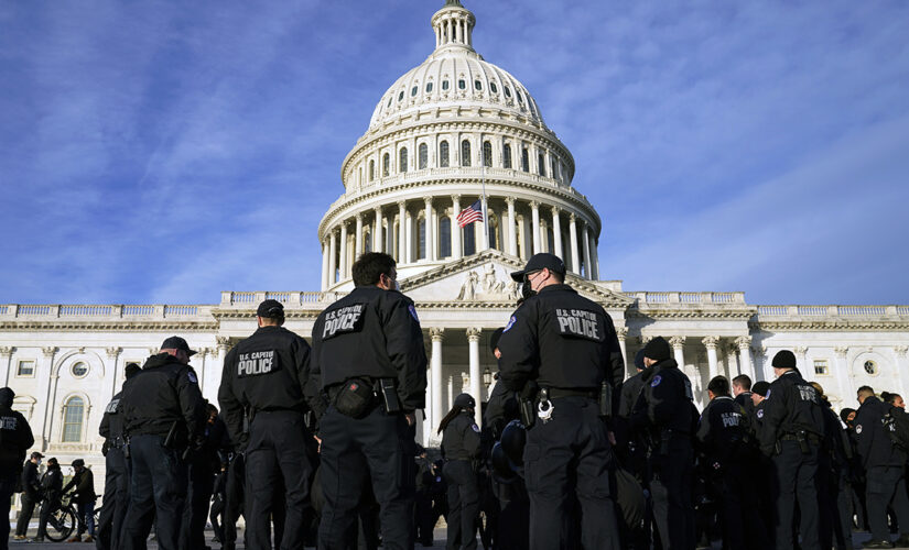 Capitol Police officer had alleged intoxicated physical altercation in Israel ahead of Pelosi visit