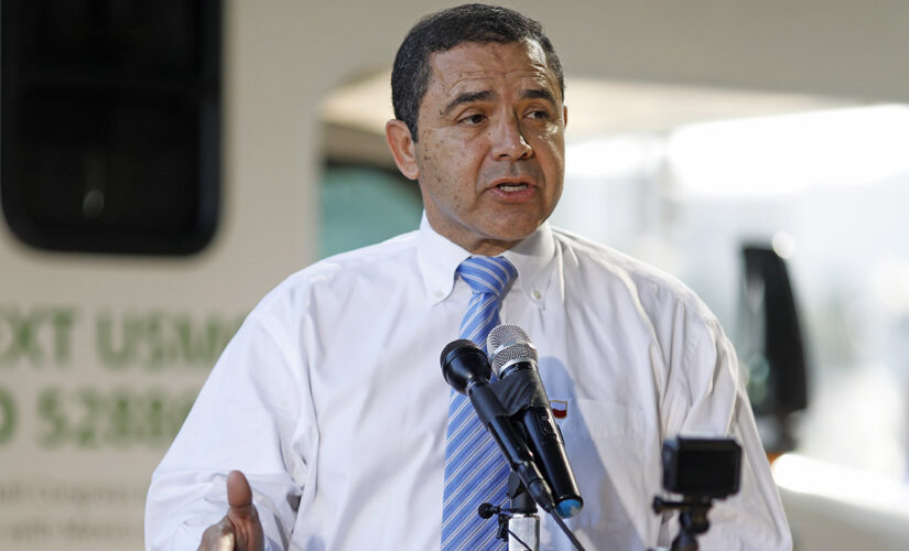 Dems Cuellar, Cisneros head to runoff in Texas US House primary