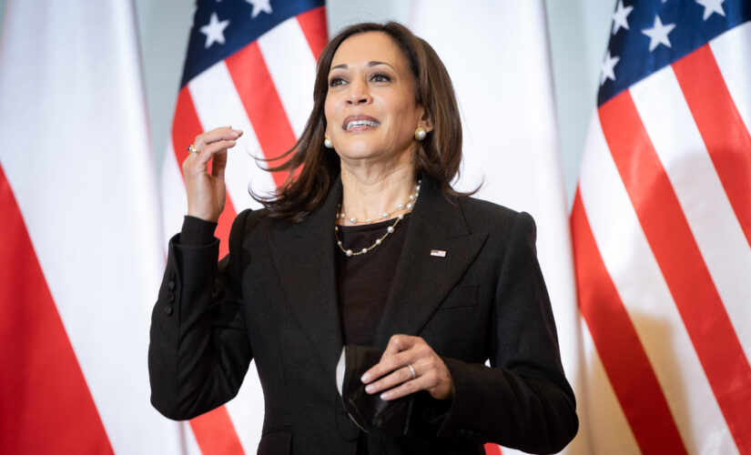 Kamala Harris says Dems’ task ahead of midterms is tell voters ‘they got what they ordered’ on Biden promises