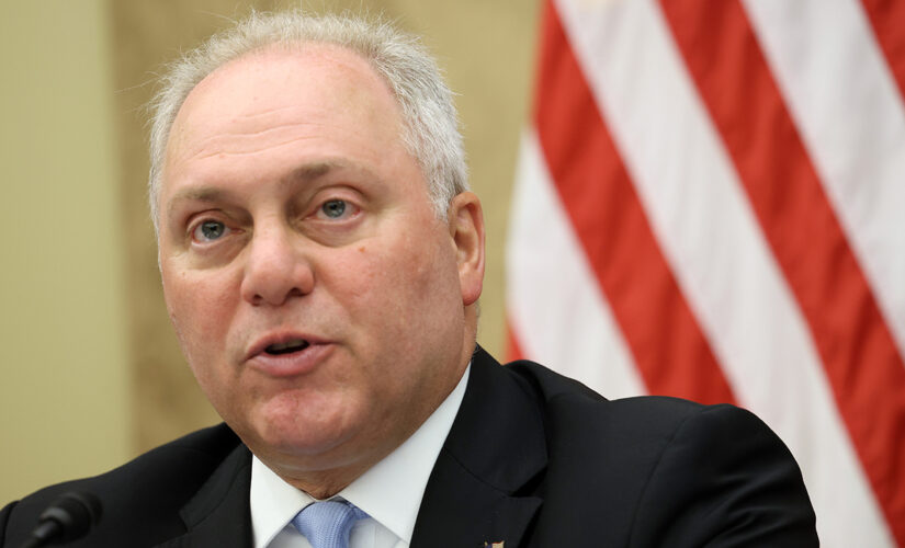 Scalise on US energy production: ‘You want to save the planet? Make more things in America’