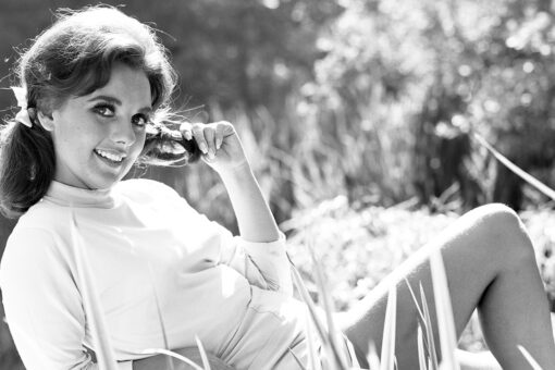 ‘Gilligan’s Island’ star Dawn Wells ’embraced her character Mary Ann,’ pal says: ‘She adored her fans’