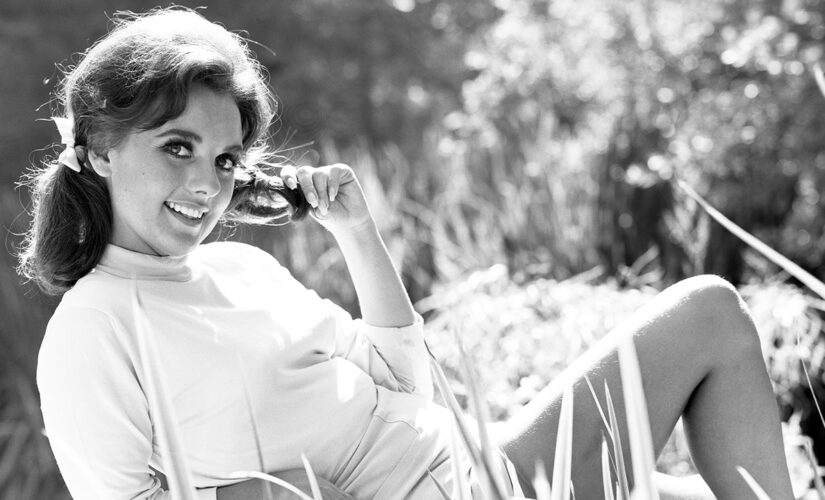 ‘Gilligan’s Island’ star Dawn Wells ’embraced her character Mary Ann,’ pal says: ‘She adored her fans’