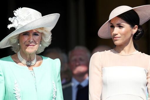 Meghan Markle’s former theatre patronage taken over by Camilla, Duchess of Cornwall