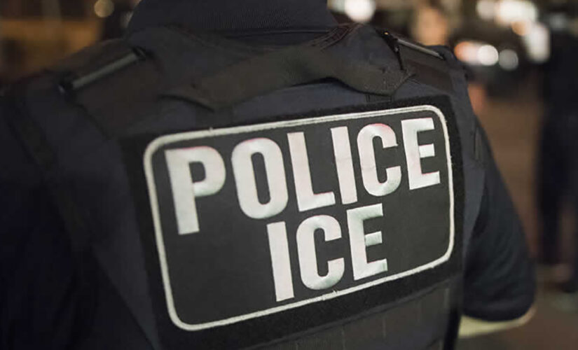 ICE suspends deportation flights to more countries amid Russia-Ukraine war: report