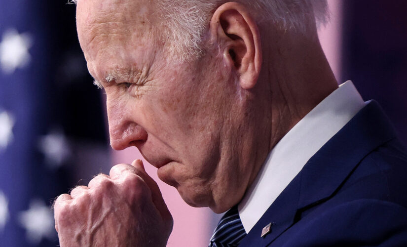 Biden claims ‘inflation is largely the fault of Putin,’ not Democratic spending