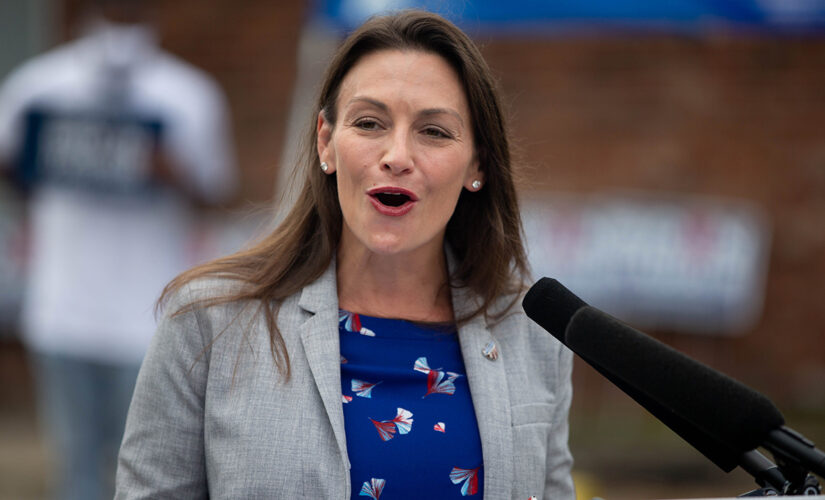 Florida Dem governor candidate hacked, campaign Twitter account turned into NFT page