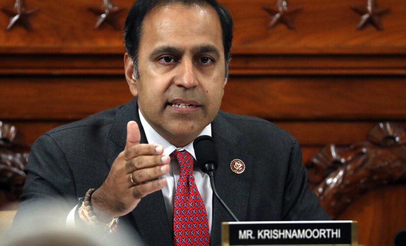 US must stand with Ukraine for ‘long term’ battle with Russia: Rep. Krishnamoorthi