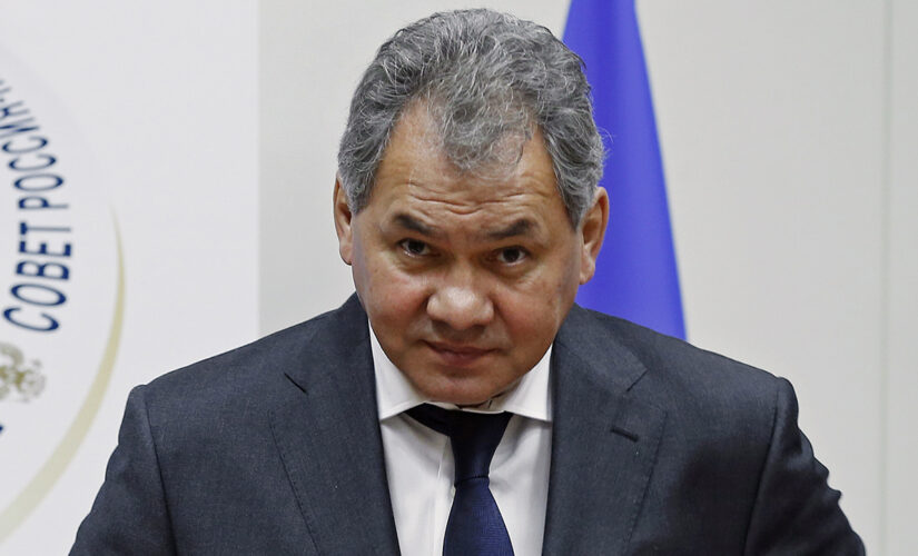 Who is Sergei Shoigu, Russia’s defense minister?