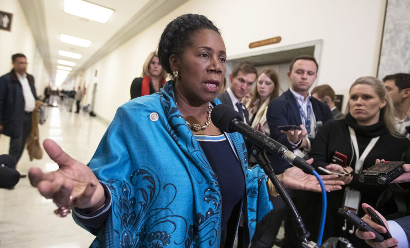 Rep. Sheila Jackson Lee demands Russia release Brittney Griner: ‘No right’