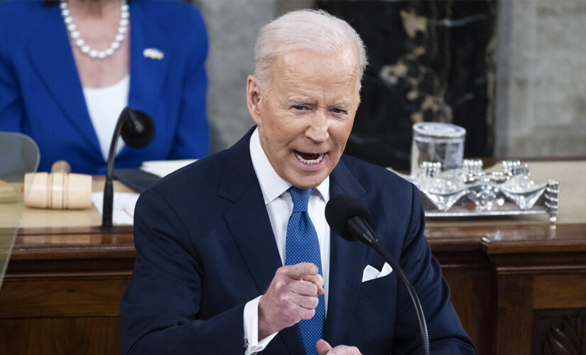 Biden calls for ban on assault weapons and high capacity magazines in SOTU speech