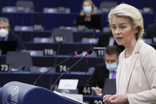 Ukraine application for EU will ‘take time,’ ‘hard to say’ when process will end