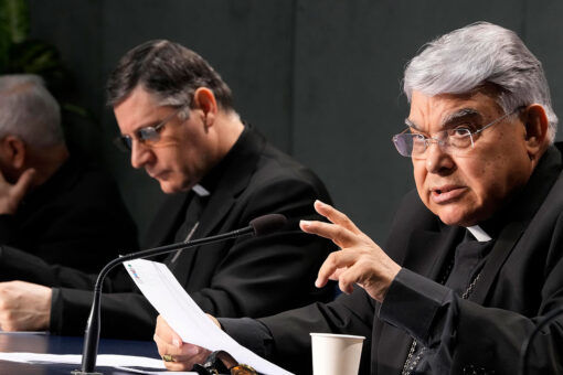 Vatican defends hasty rollout of revolutionary laity reform