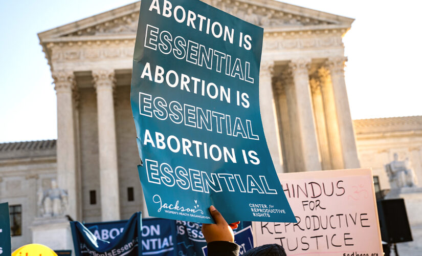 Pro-life group slams abortion rights ‘ice cream’ truck in Austin, Texas, as ‘monstrosity’