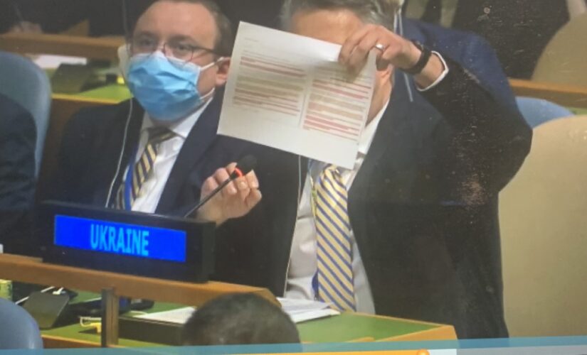 Russia fails to ‘undermine’ UN’s unified efforts in Ukraine, ambassador says