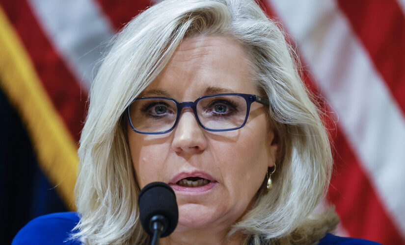 Liz Cheney raised more money from deep blue areas, states than from Wyoming: report