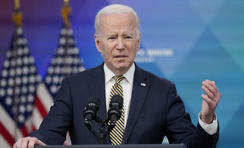 Biden ‘doesn’t currently have any plans’ to travel to Ukraine despite Boris Johnson visit, WH says