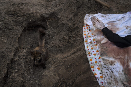 Ukraine: More than 900 civilian bodies found in Kyiv region, police say