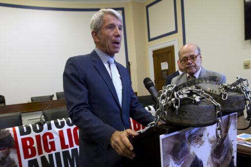 Biden backs Oregon Rep. Kurt Schrader in first midterms endorsement