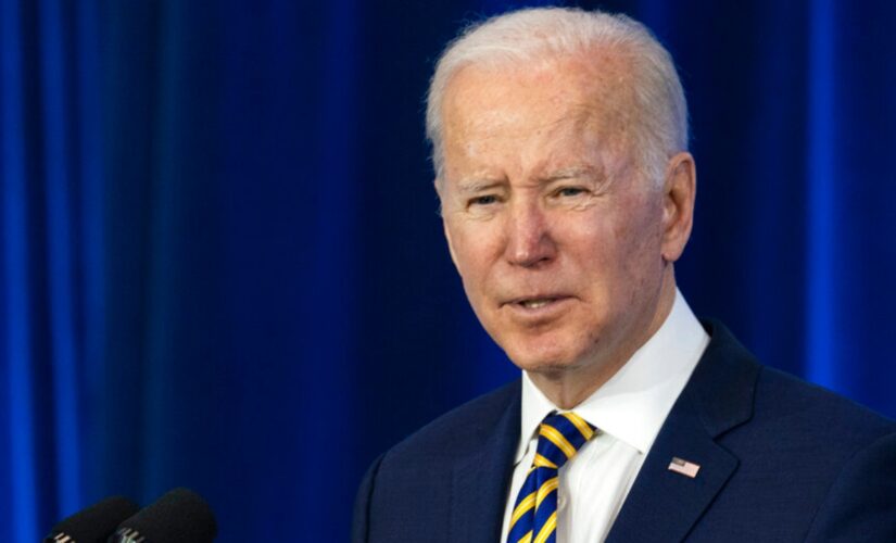 Biden admin rolls out first ‘whole-of-government’ plan to counter threats to US posed by drones