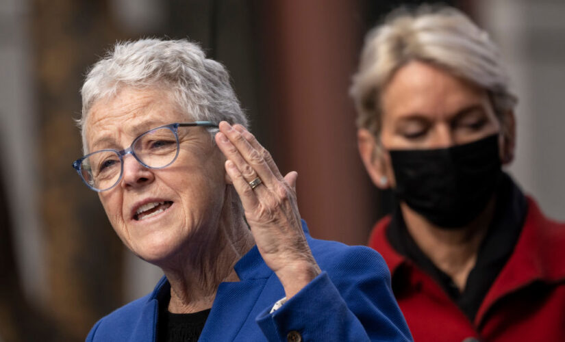 Gina McCarthy, White House climate adviser, planning to step down: report