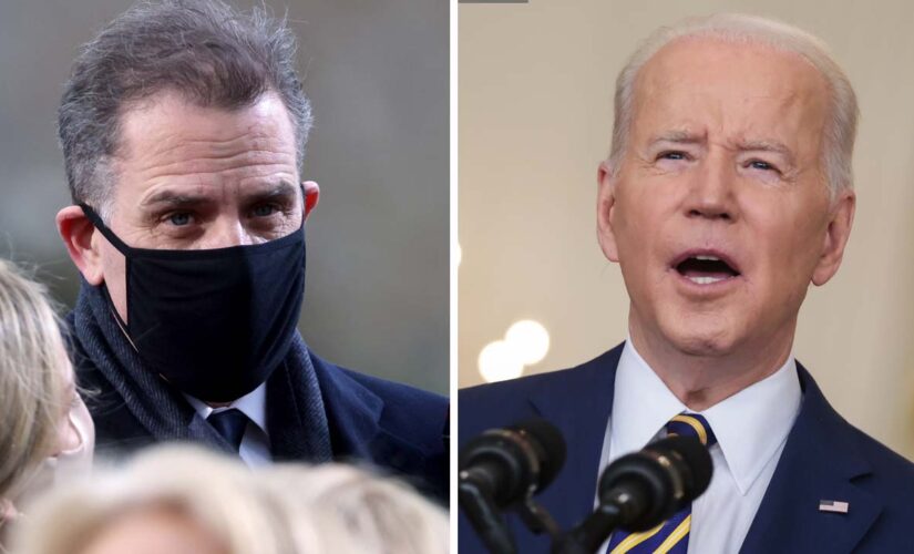 Biden met with Hunter Biden business partner at White House in 2010: Report