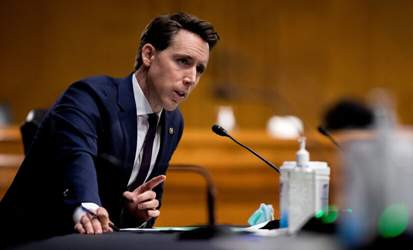 Hawley grills Biden admin on migrant surge, whether DHS plans to give phones to illegal immigrants