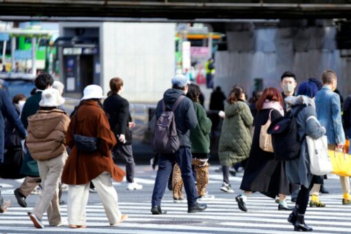 Japanese government program pushing migrants to abortion, activists claim