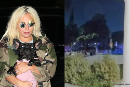 Lady Gaga’s dog walker speaks out after man arrested for shooting him erroneously freed from jail