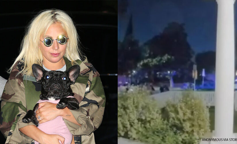 Lady Gaga’s dog walker speaks out after man arrested for shooting him erroneously freed from jail