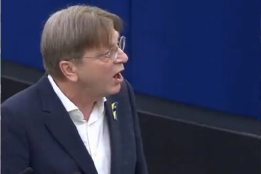 Fired up European official slams ‘Ridiculous’ Russian sanctions, urges different approach