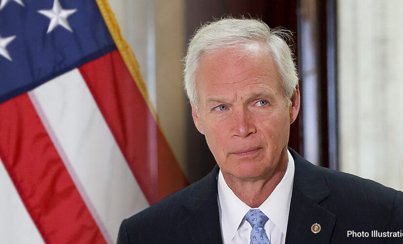 29 GOP senators join Johnson, Biggs in resolution to repeal Biden’s asylum rule