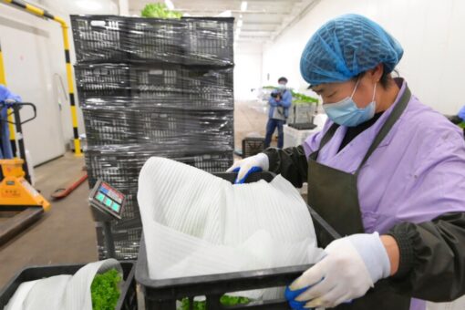 Shanghai pledges to improve food supplies, ease virus restrictions