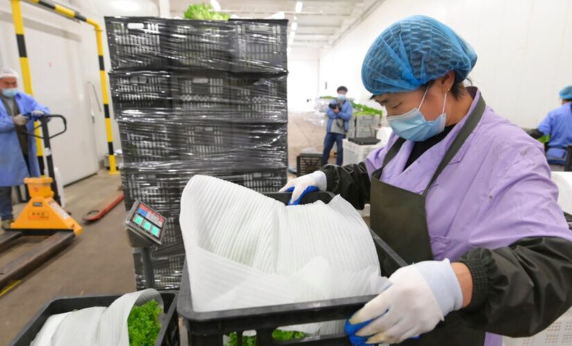 Shanghai pledges to improve food supplies, ease virus restrictions