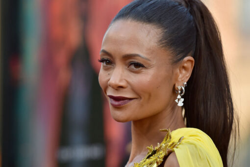 Thandiwe Newton exits ‘Magic Mike’ project with Channing Tatum over ‘family matters’