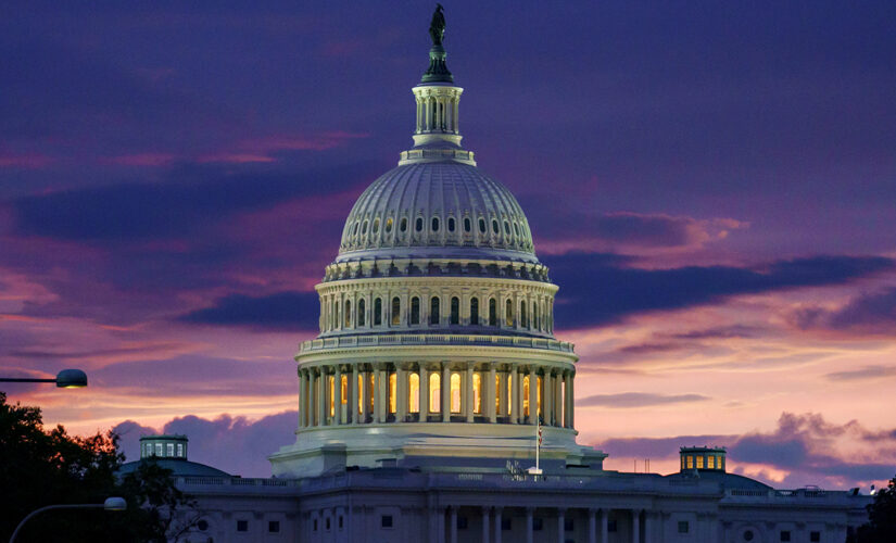 Reporter’s Notebook: Capitol Hill’s history with aircraft security scares