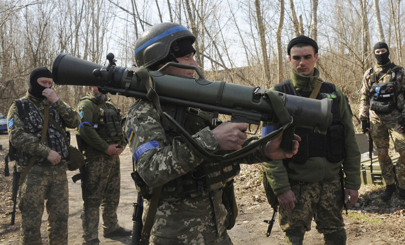 Germany halts arms shipments to Ukraine, will provide training and maintenance instead