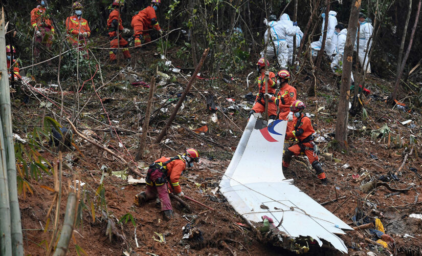 Cause of China Eastern plane crash still a mystery one month later