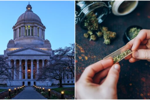 Washington state legislature strikes word ‘marijuana’ from state laws, citing racism