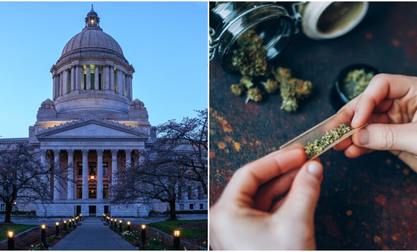 Washington state legislature strikes word ‘marijuana’ from state laws, citing racism