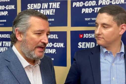 With Cruz backing, Mandel brushes off ‘RINO’ attacks after book alleges dishonesty