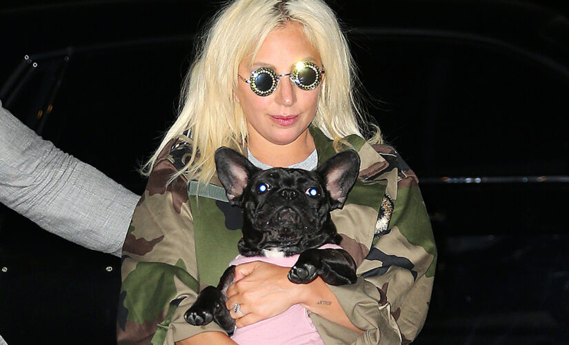 Lady Gaga dog walker shooting suspect released from jail by mistake