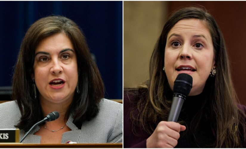 Stefanik, Malliotakis slam Dems’ ‘gerrymandered’ congressional map, praise court’s ruling