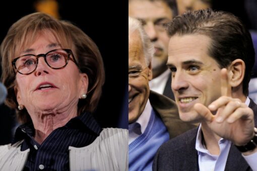 Valerie Biden Owens defends Hunter as blameless victim, blames Trump’s ‘right-wing followers’