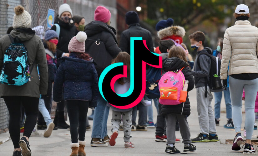 TikTok acts on children’s brains like a ‘candy store’ shortening their attention span: report