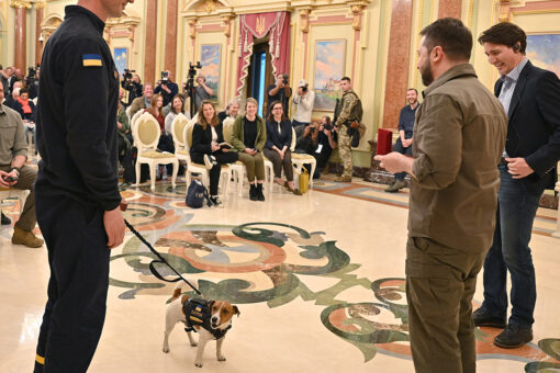 Bomb-sniffing Jack Russell Terrier awarded service medal by Ukraine’s Zelenskyy
