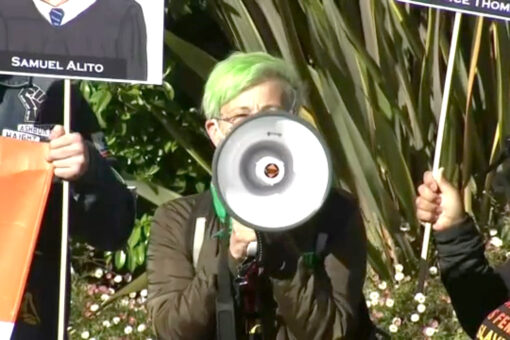 Pro-choicers picket Pelosi’s house, claim Democrats are ‘complicit’ in potential overhaul of Roe v. Wade