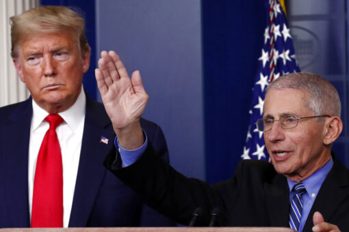 Fauci says he’ll leave White House if Trump wins 2024 election